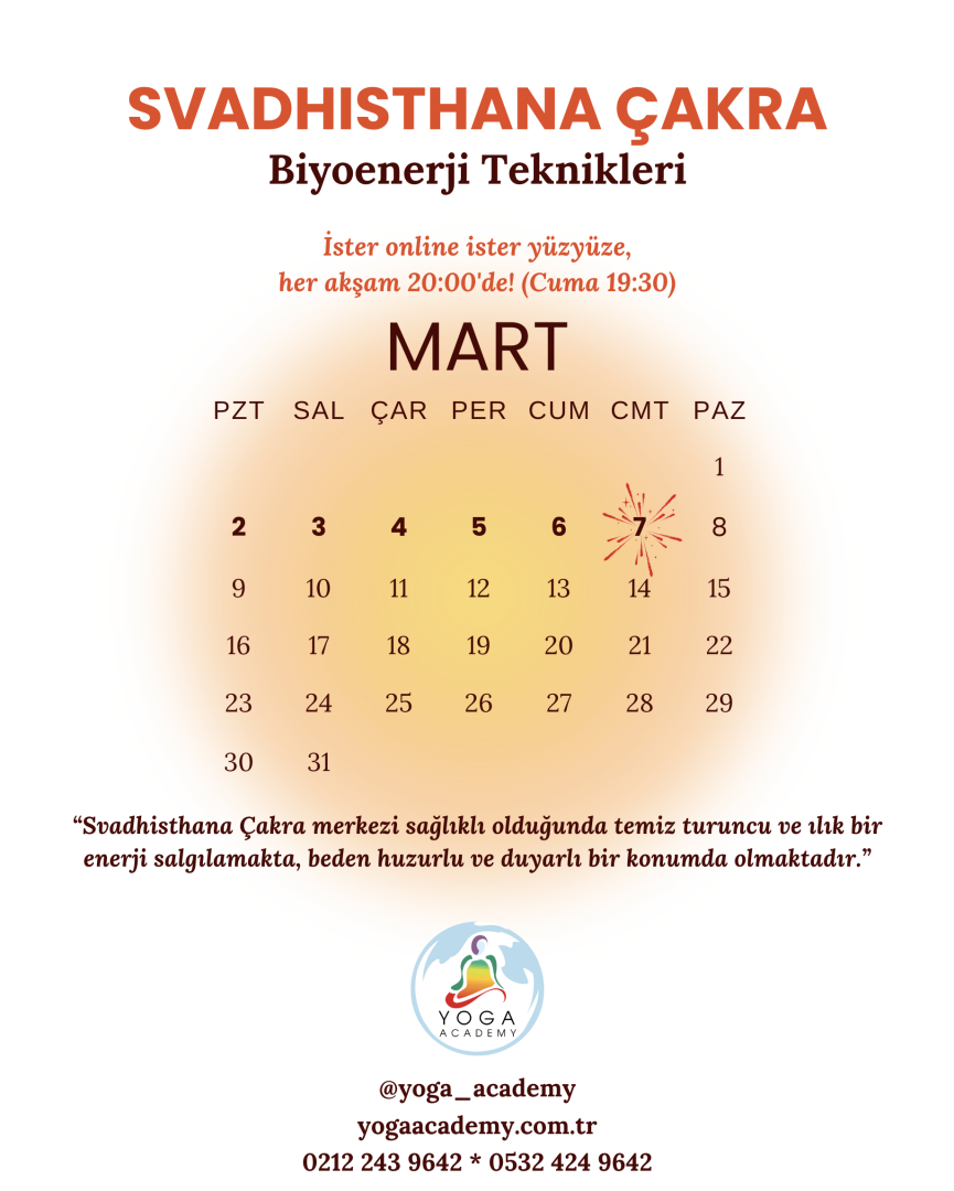 ÇAKRA ÇALIŞMALARI