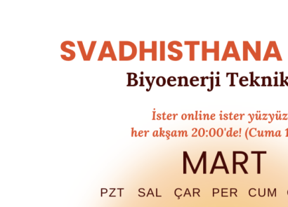 ÇAKRA ÇALIŞMALARI